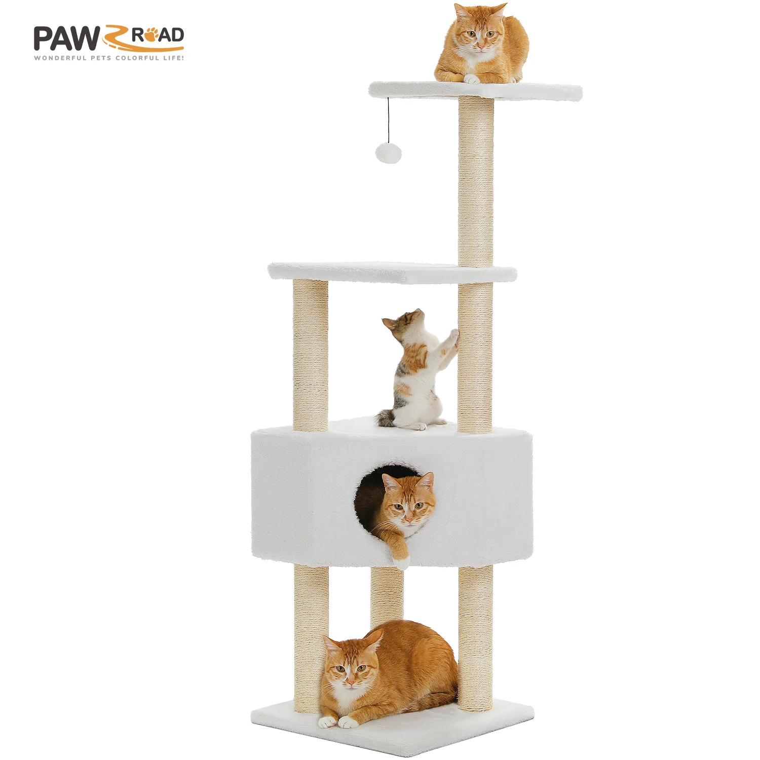 maison pour chat intérieur