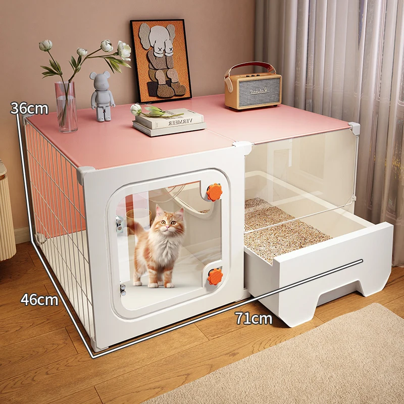 maison chat