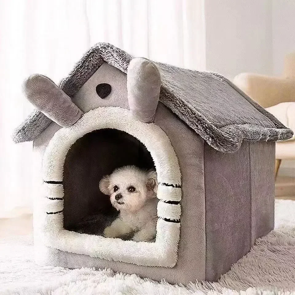 maison pour chat